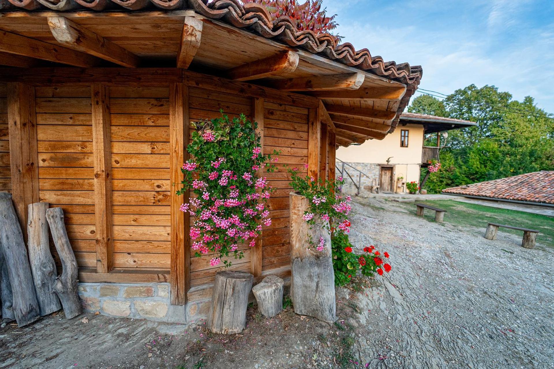 Guest House Kandaferi 2 Elena Kültér fotó