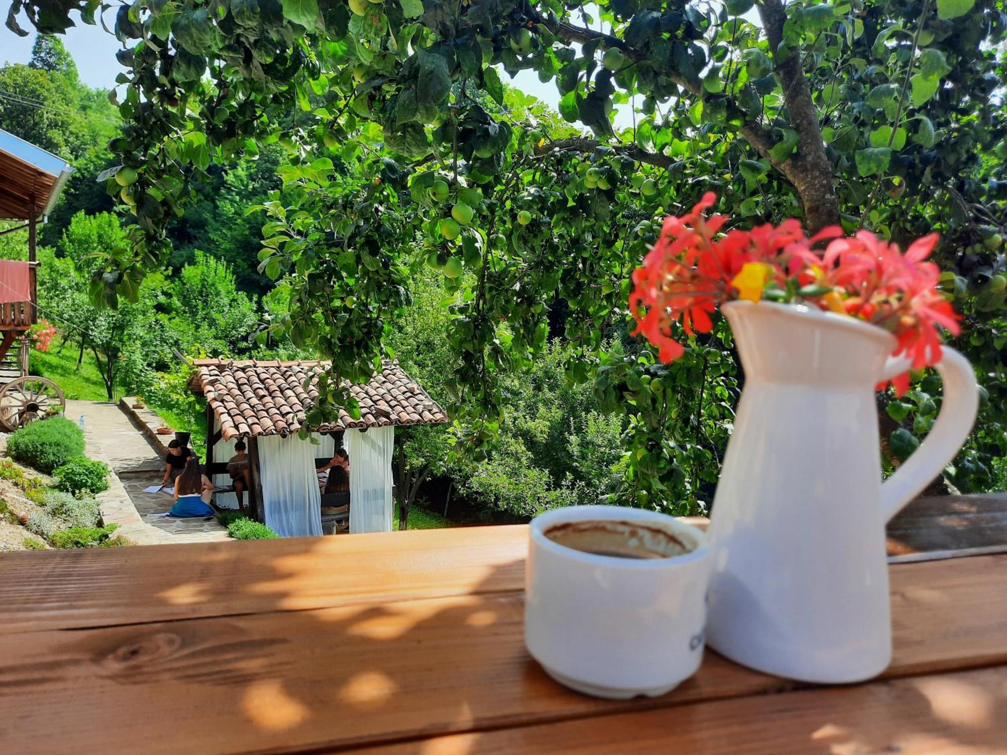 Guest House Kandaferi 2 Elena Kültér fotó
